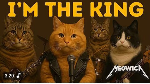 ❤️👏👏 Kind of the world 😙♥️very Funny