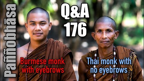 Question & Answer #176: from a Renunciant I Once Knew to Why Thai Monks Shave Their Eyebrows