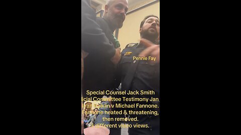 Michael Fannone removed from Judiciary Hearing
