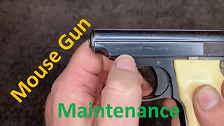 RIGARMI 25ACP - Disassembly & Assembly