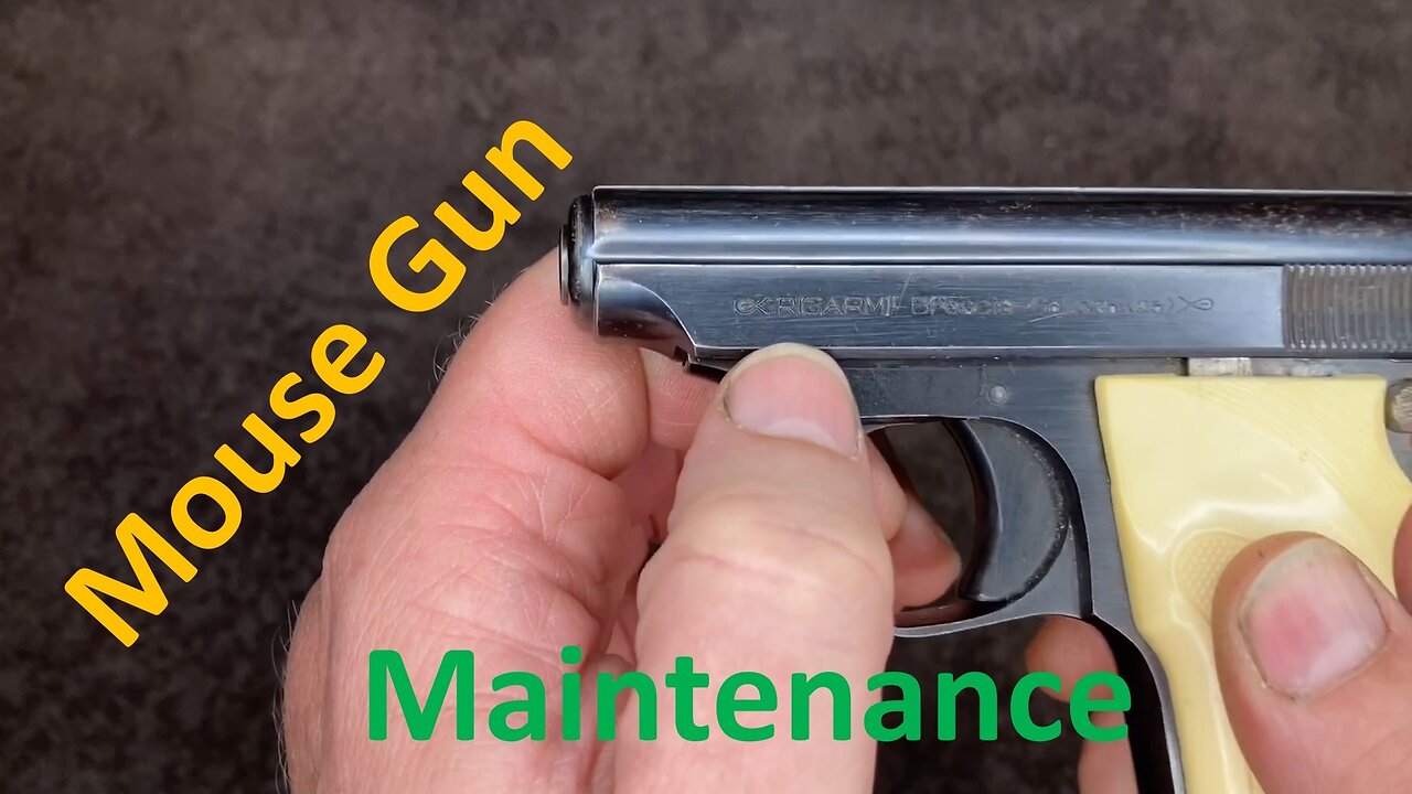 RIGARMI 25ACP - Disassembly & Assembly