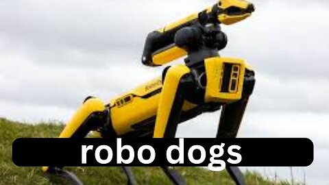 avatars of robot dogs | robot dog army in china | robodogs as watchman | universal workers