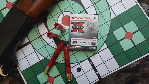 Winchester SuperX, .410 bore rifled slugs in 3" shells for light skinned big game.