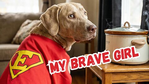 My Sweet Emmi Saved Our Family ❤️