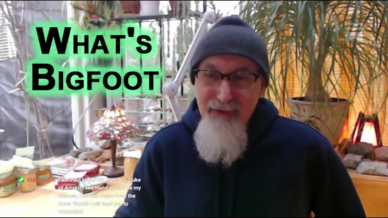 What's Bigfoot