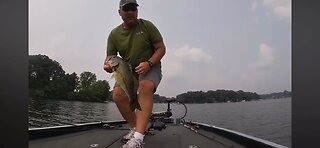 A few catches from the past couple years!