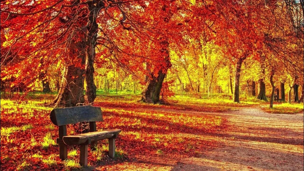 Песня про старый осенний парк