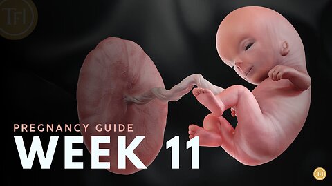 What to Expect at Week 11 | Week by Week Pregnancy Guide