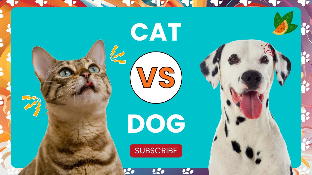 Cat and Dog funny video