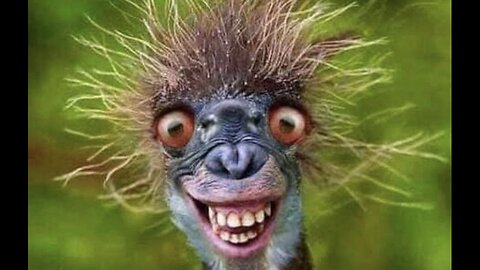 Crazy - (Soul Cover)