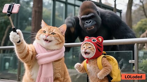 Epic Zoo Fun with Tiger-Hat Kitten & Mama Cat: Alpaca Spit Shenanigans! 😂🐱✨
