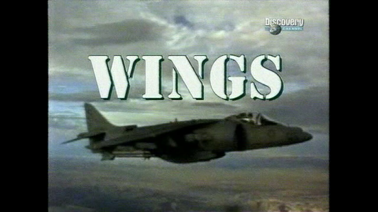 Wings - Mil Mi-24 attack helicopter (1995)