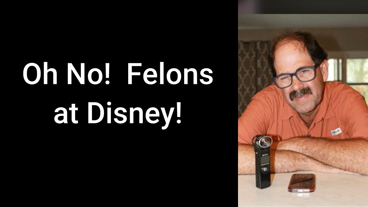 Text Scammers - Oh No! Felons at Disney!