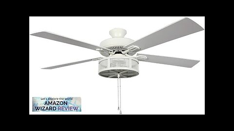 RIVER OF GOODS Alabaster LED Mesh Caged Ceiling Fan 52" L Review