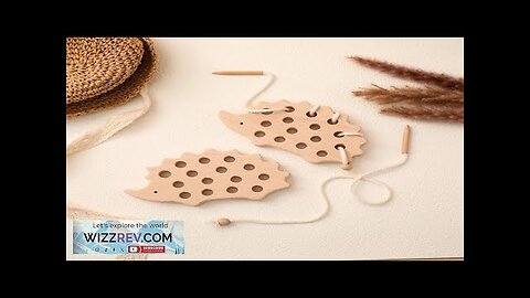 Wooden Hedgehog Threading Board Kids Montessori Toys Beech Wooden Educational Toy Button Review