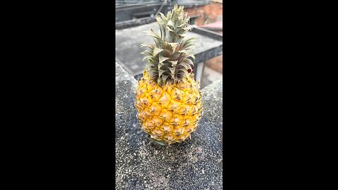 Watermelon 🍉 and banana 🍌 drop 😱 #unfreezmyaccount🙏 #creatorsearchinsights #foryoupage❤