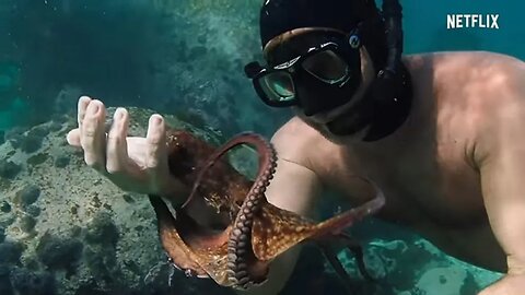 My Octopus Teacher - Full Documentary