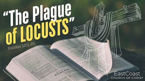 "The Plague of LOCUSTS" 12/28/2025