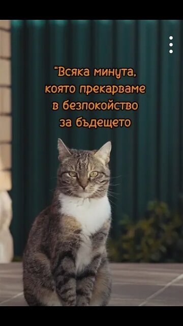 Всеки момент е шанс