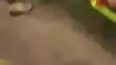 GRUESOME footage emerges from Ain al-Hilweh camp after Israeli strike