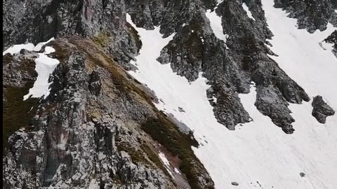 Daily Horoscope | Capricorn 🌟