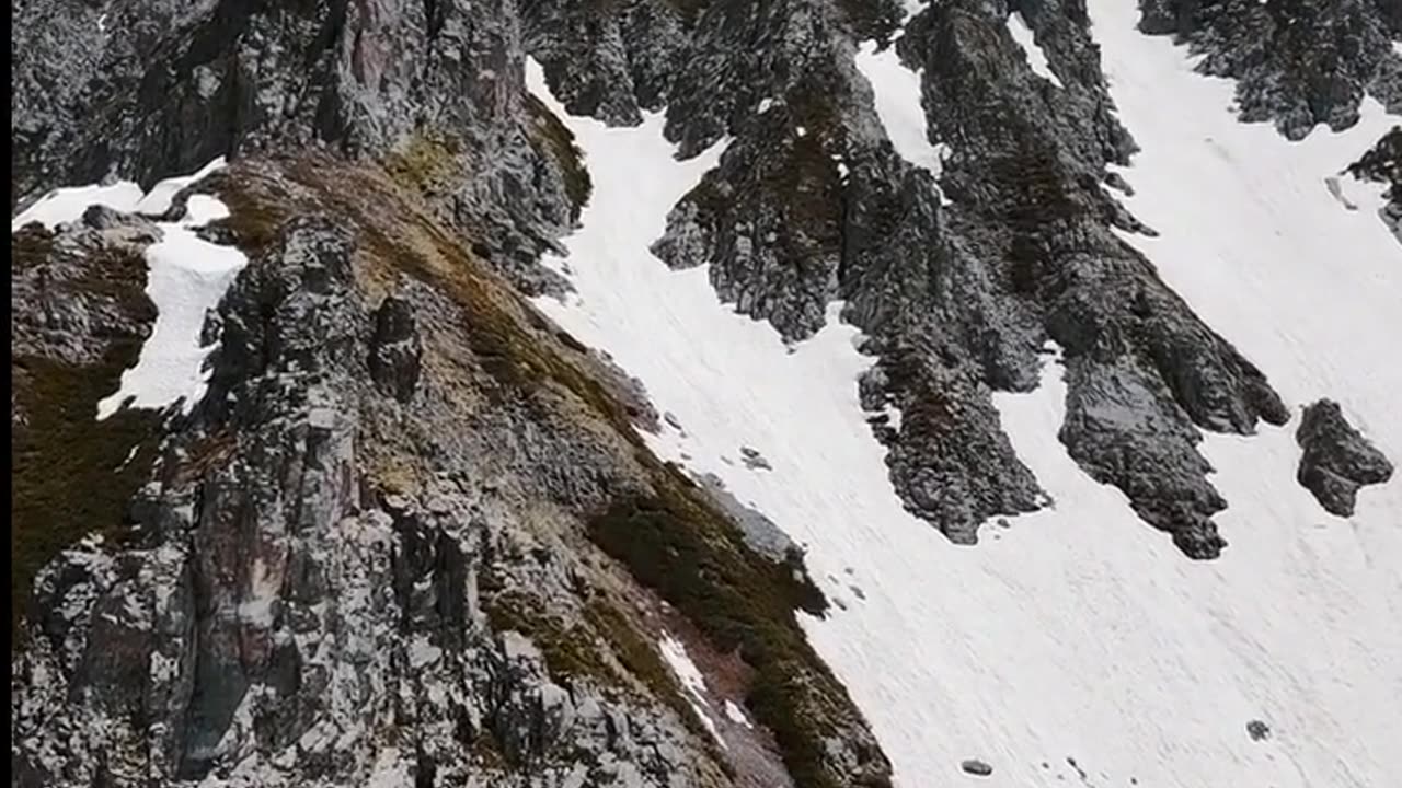 Daily Horoscope | Capricorn 🌟