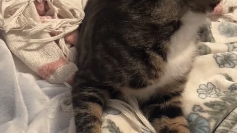 😱👻 The Scariest Shadows I've Ever Seen! Haunted House | TheHauntingHour