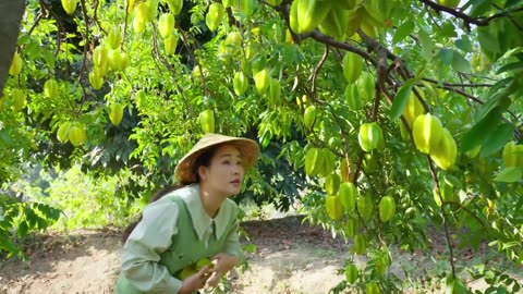 One Fruit for a Table: Star Fruit - The Treasure Fruit with Five Pointed Stars Inside