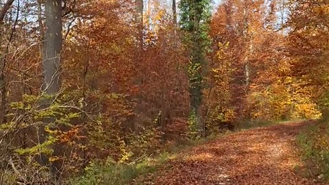 Schools of thought are very useful for dividing people