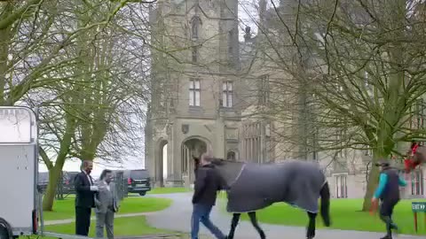Love comedy action funny