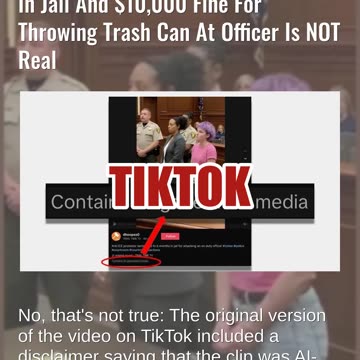 Fact Check: Video Of Anti-ICE Protester Sentenced To Six Months In Jail And $10,000 Fine NOT Real