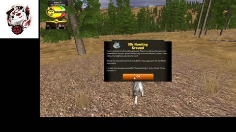 Wolf Slumbers Live Stream 28