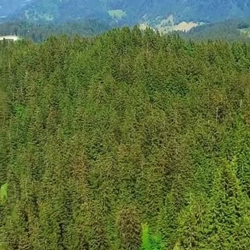 Powerful prayer Monday March 3rd