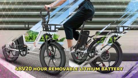 Cheevalry C20 PRO Electric Bike 250W 48V 20AH Battery City Commuter 20 ” Tire Electric Bicycle