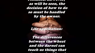 Matthew 13:26 - Daily Bible Verse Commentary