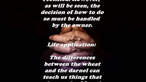 Matthew 13:26 - Daily Bible Verse Commentary
