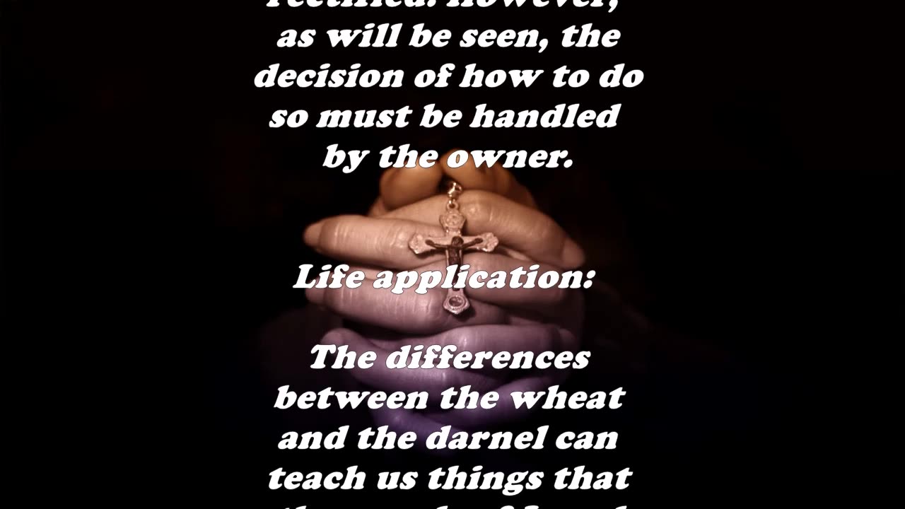 Matthew 13:26 - Daily Bible Verse Commentary