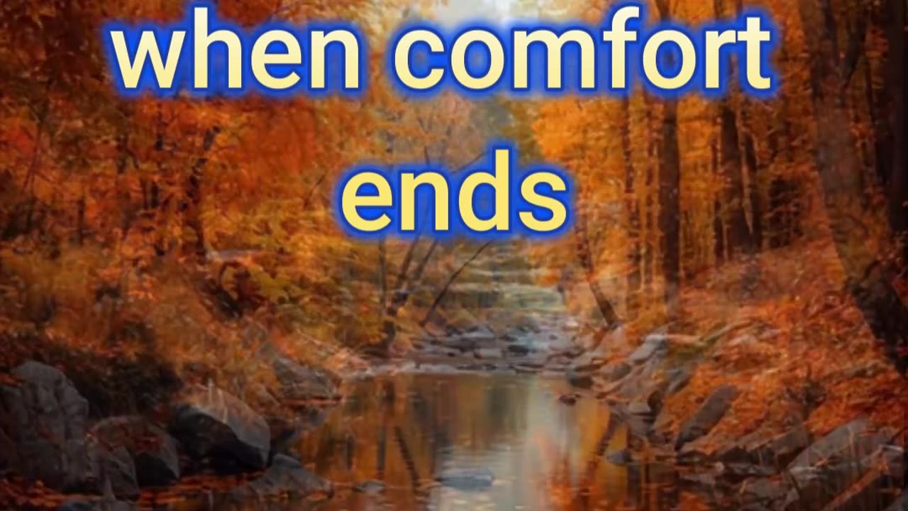 Comfort Is a Beautiful Trap