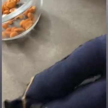 Liberals have lost their minds.