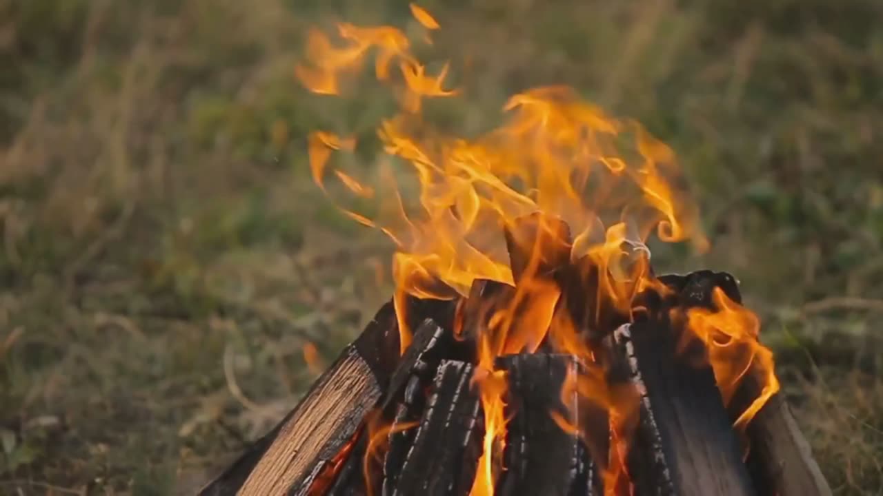 え、そんな昔！火の起源を24秒で