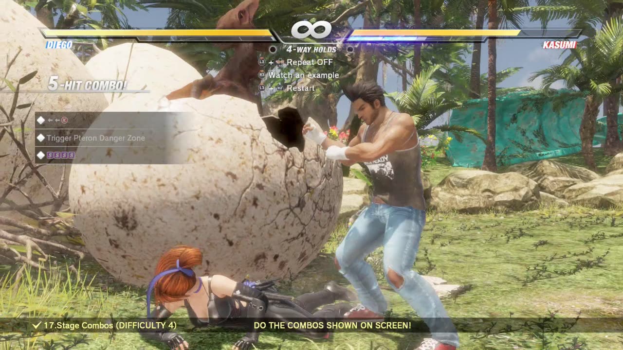 DOA6 Diego Combo Challenge