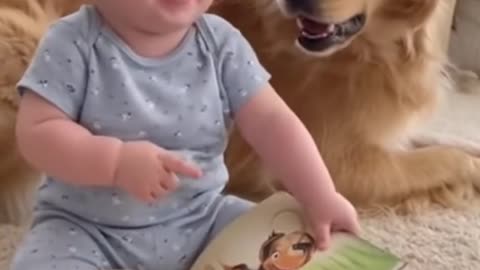 Baby’s Cutest Playtime with Cat 🐱👶 | Adorable Moments"