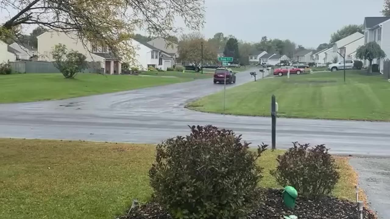 ROCK ISLAND BOOKS! ! Bullseye