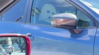 😂🤣 Saw This Leaving The Store Today! | FunFM