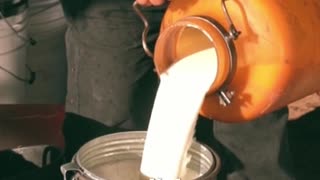 Scientific Accidents — Entry #26: Smallpox Vaccination Concept