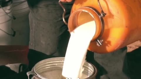 Scientific Accidents — Entry #26: Smallpox Vaccination Concept