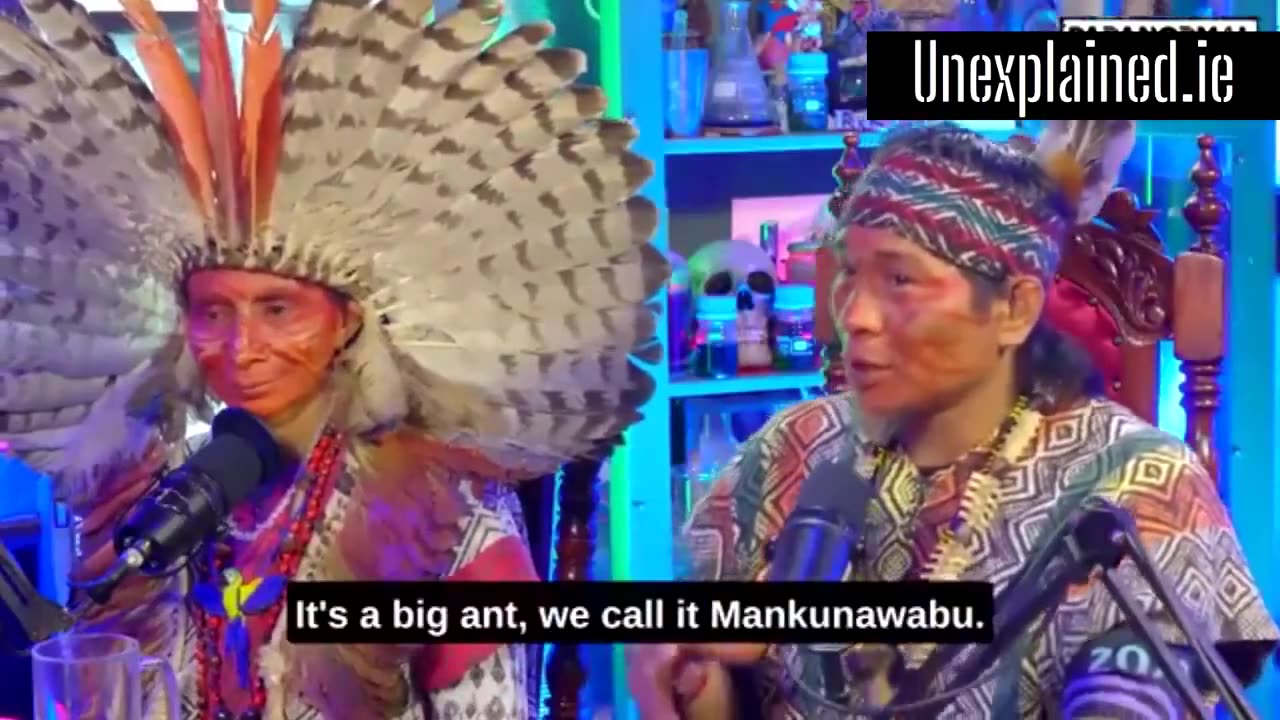Brazilian Tribe Members recognize Alien picture as ANT people from UNDERGROUND
