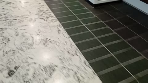 Walkie talkie: Donald Trump Vs The BBC episode 2