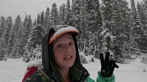 We snowshoe to Reflection Lake in Mt. Rainier. #snowshoeing