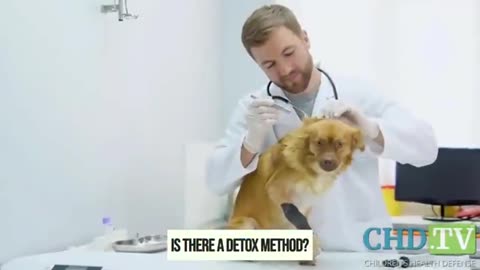 Veterinarian Dr Marcie Fallek 70 of what I see is vaccine injury